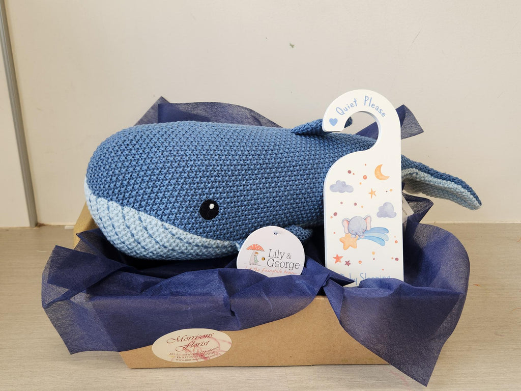Walter the Whale baby gift box