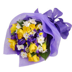 Spring Posy