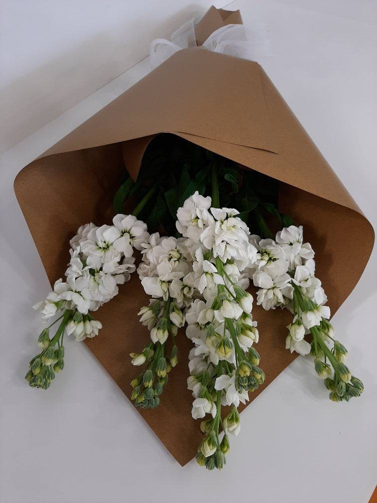 Deal of the week Flowers 29/4/24 4/5/24 Morrisons Florist