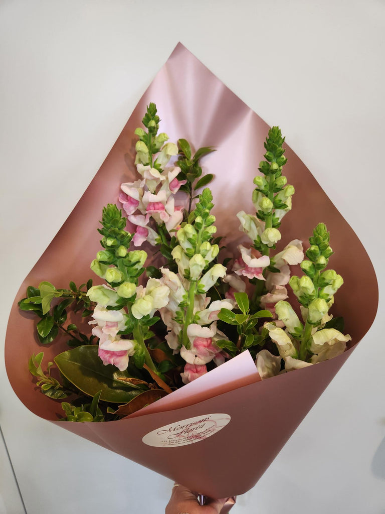 Deal of the week Flowers 22/7/24 27/7/24 Morrisons Florist Auckland Fresh Flower Delivery