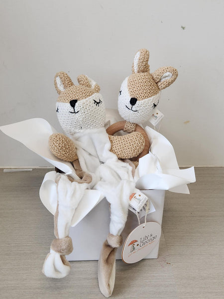 Miss Deer Baby Gift box