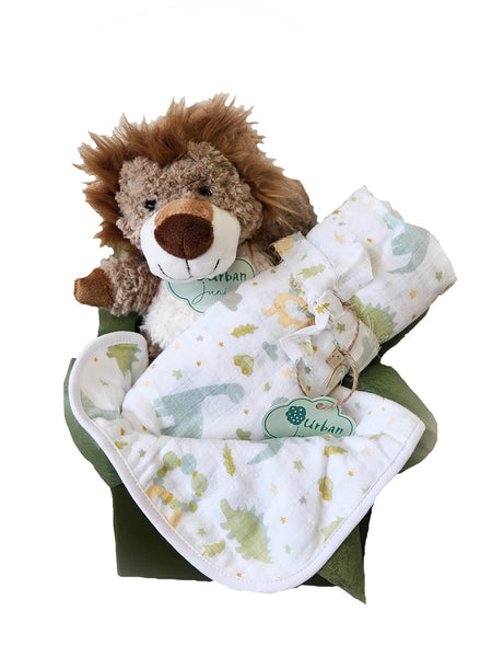 Lion Baby gift box
