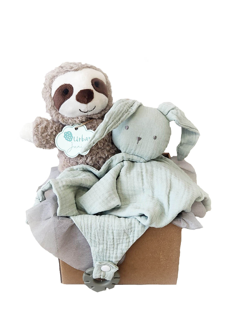Sloth Baby Gift Box