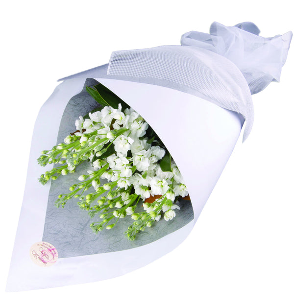 White Stock Bouquet