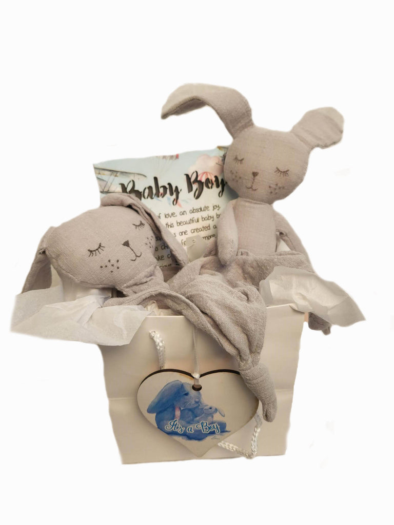 Grey Bunny Baby Boy Gift Bag