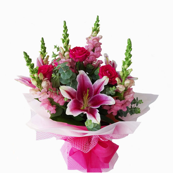 Shades of Pink Vox